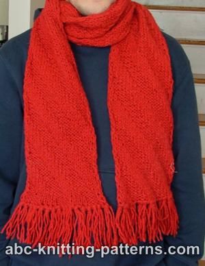 Loom Knit Diagonal Lace Scarf - Martha Stewart Crafts Lion Brand